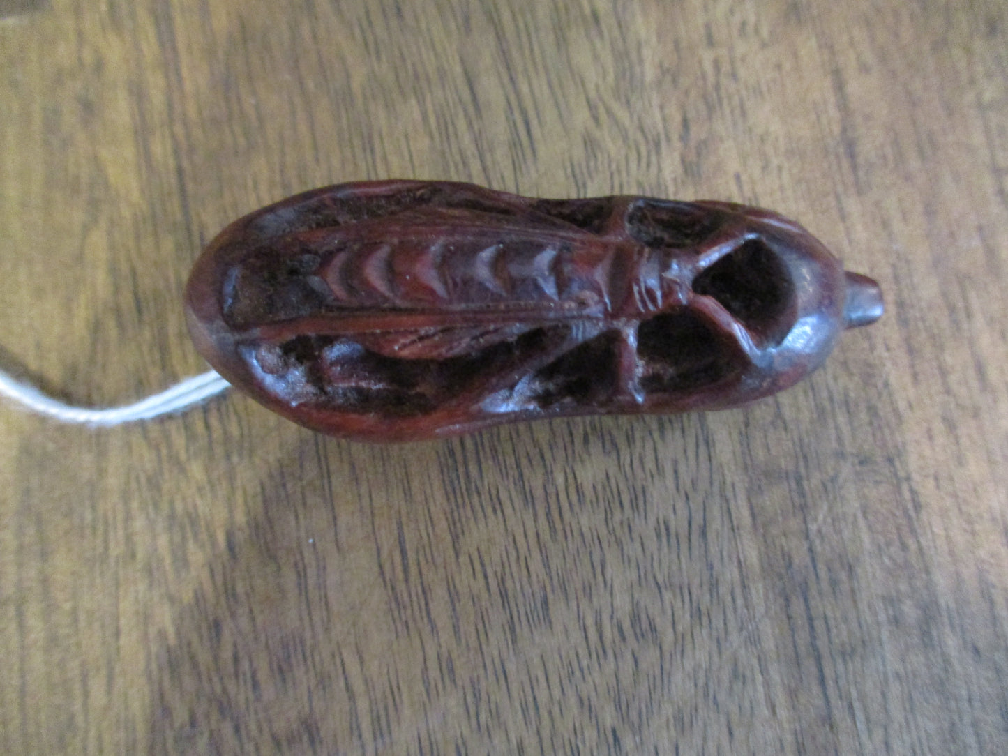 Japanese Boxwood Netsuke - Insect