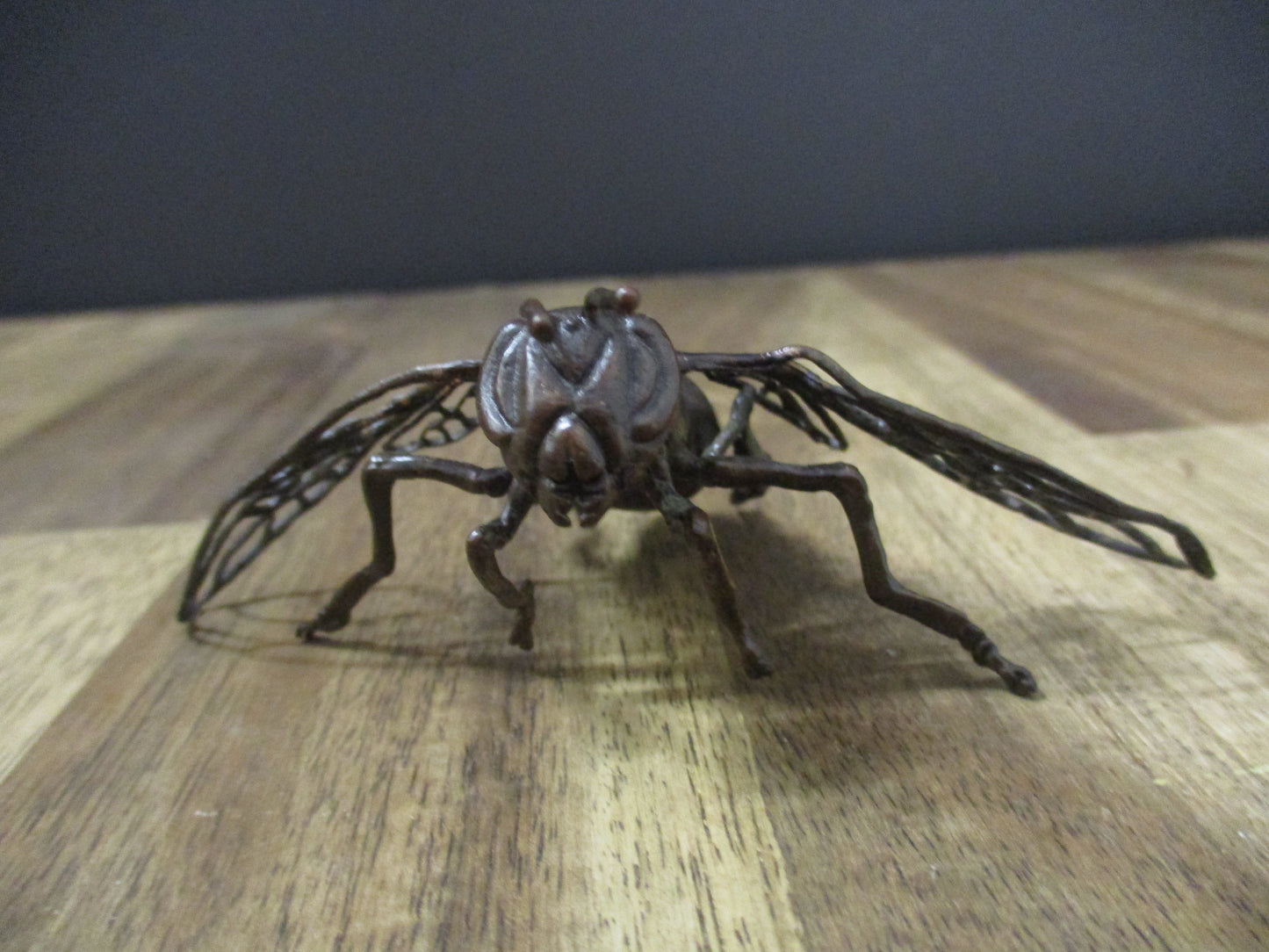 Japanese Bronze Wasp