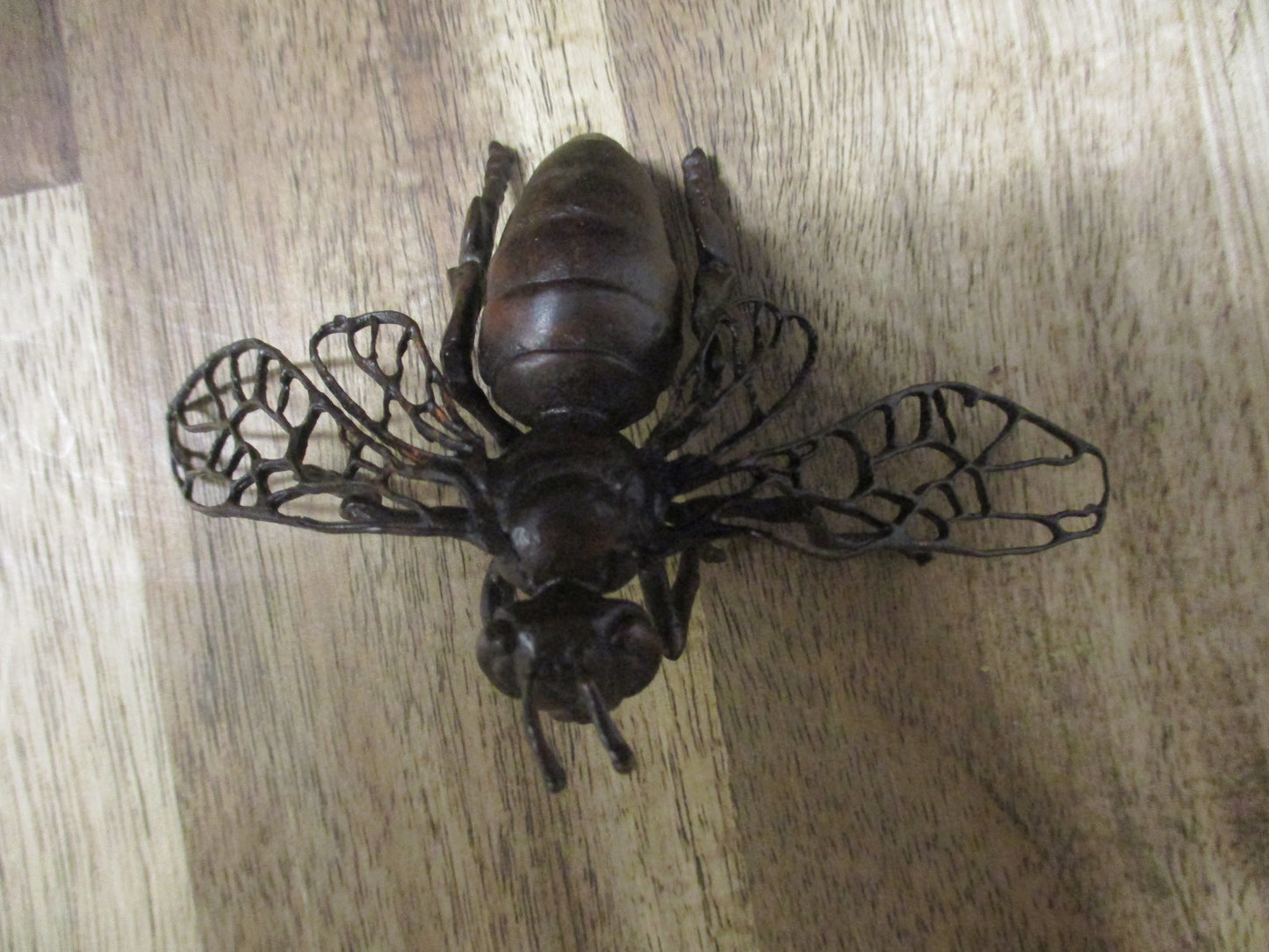 Japanese Bronze Wasp