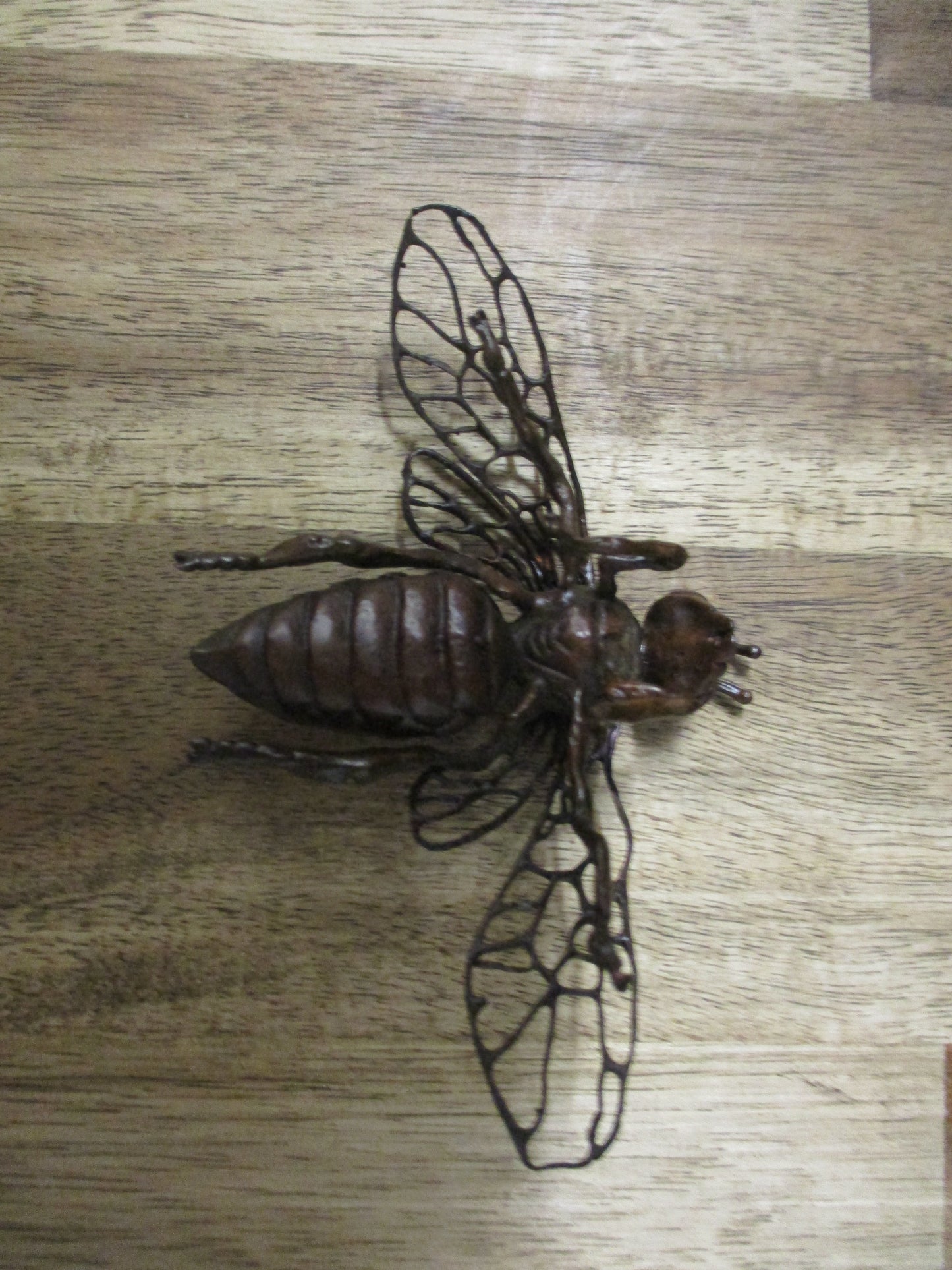 Japanese Bronze Wasp